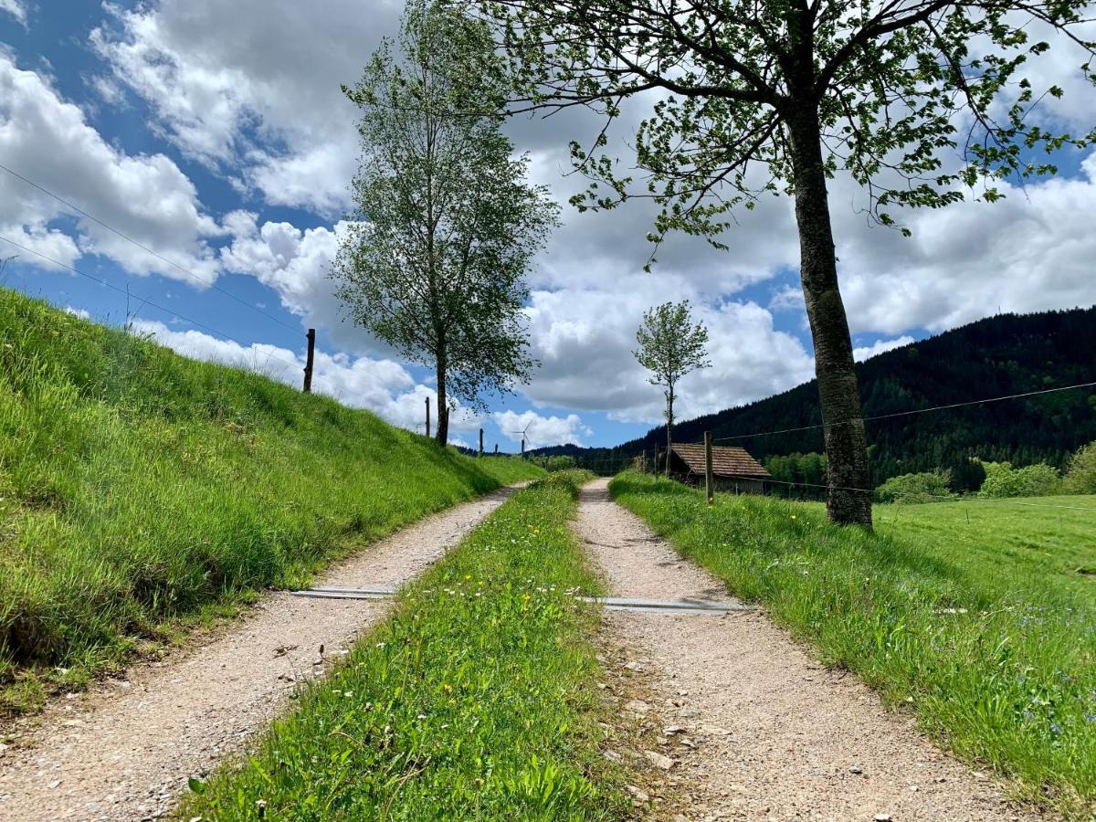 Landhotel Hirschen Oberwolfach Kültér fotó